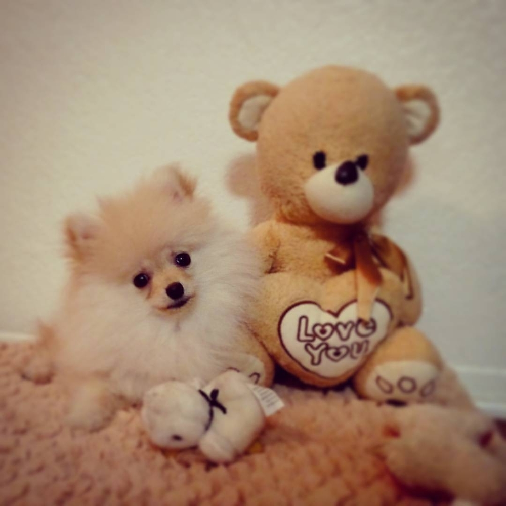 Meet your Posher, Robert